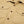 Freenote 11oz Sateen Twill Utility Shirt Khaki close up button front