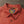 Indigofera Delray 6oz Linen Canvas Shirt Rust close up collar