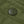 Iron Heart Cotton Easy Shorts Olive IH729 close up snap button