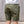 Iron Heart Cotton Easy Short – IH-729 Olive