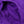 Iron Heart Cotton Easy Shorts Purple IH729 close up side pocket