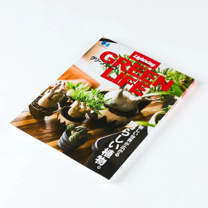 Lightning Archives Magazine Green Life Revised Edition