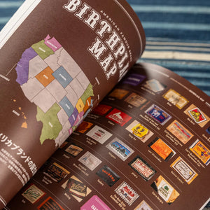 Lightning Archives Magazine Vintage Basics Complete Revised Edition close up preview