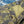 OrSlow 7002 US Army Fatigue Shorts Tiger Camo close up zip fly