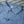 Pure Blue Japan 2234 Oriental Chambray Shirt Indigo