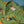Sun Surf Insignia of Army Herringbone Hawaiian Shirt Olive close up collar