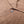 Sunspel Linen Pique Polo Shirt Dark Walnut detail button
