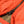 Taion Military W Zip Down Vest Akane Orange close up ripstop fabric