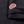 UES 67LW Rahben Stitch Loopwheeled Polo Shirt Black detail label