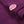 UES 67LW Rahben Stitch Loopwheeled Polo Shirt Purple detail label